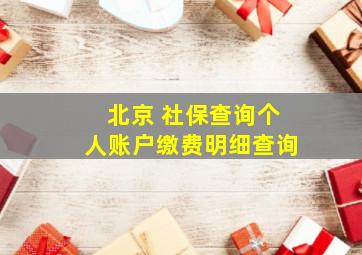 北京 社保查询个人账户缴费明细查询